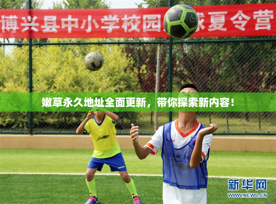 嫩草永久地址全面更新，带你探索新内容！