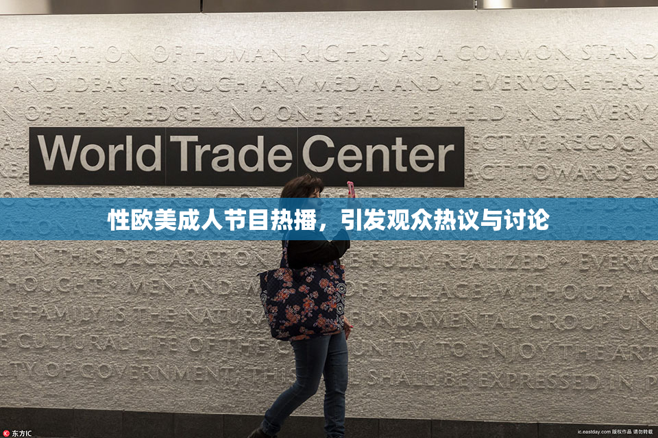 性欧美成人节目热播，引发观众热议与讨论