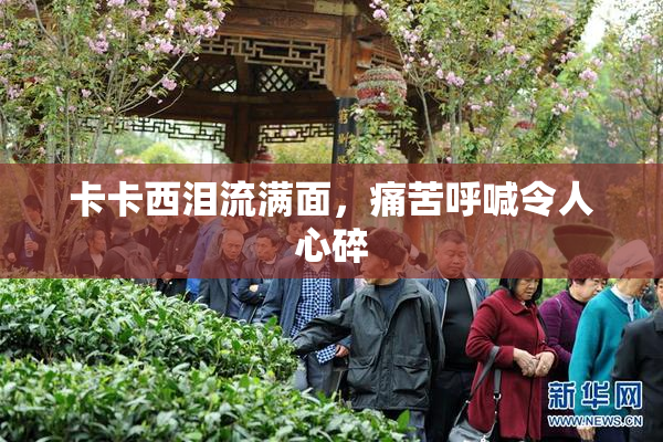 卡卡西泪流满面，痛苦呼喊令人心碎