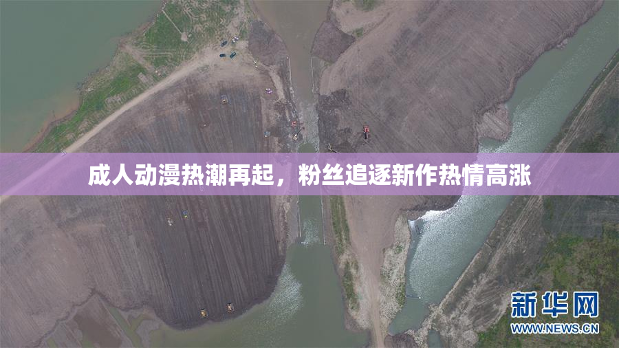 成人动漫热潮再起，粉丝追逐新作热情高涨