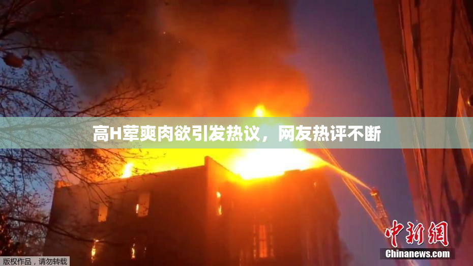 高H荤爽肉欲引发热议，网友热评不断