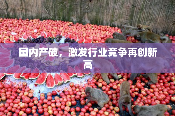 国内产破，激发行业竞争再创新高
