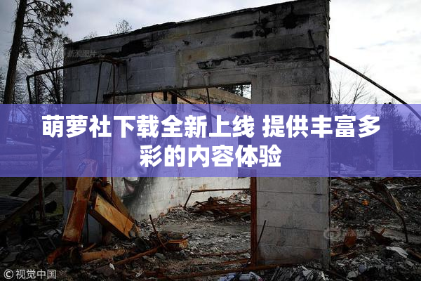 萌萝社下载全新上线 提供丰富多彩的内容体验