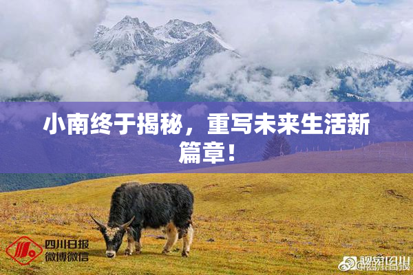 小南终于揭秘，重写未来生活新篇章！