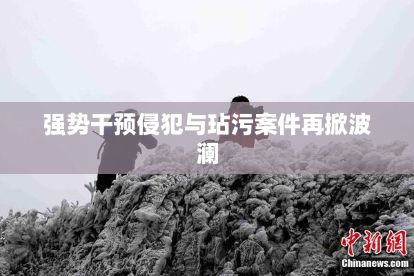强势干预侵犯与玷污案件再掀波澜