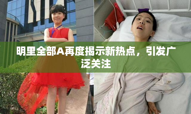 明里全部A再度揭示新热点，引发广泛关注