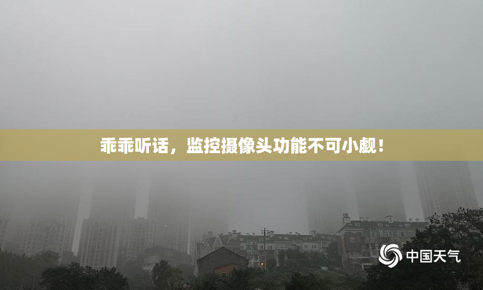 乖乖听话，监控摄像头功能不可小觑！