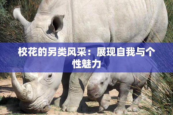 校花的另类风采：展现自我与个性魅力