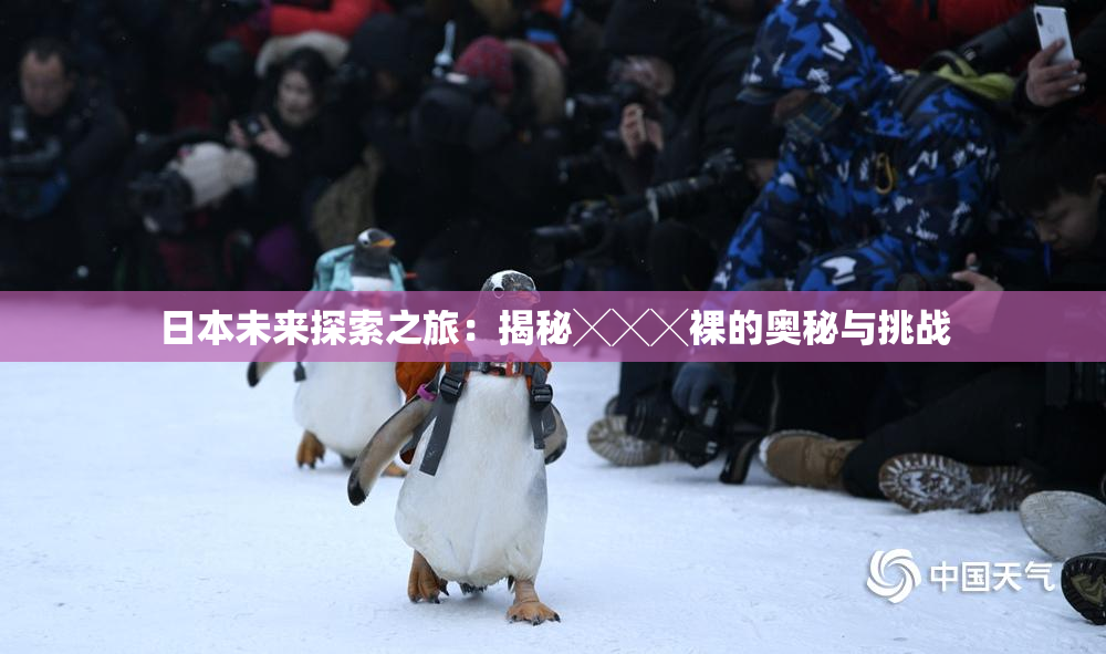 日本未来探索之旅：揭秘╳╳╳裸的奥秘与挑战