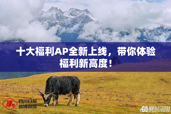 十大福利AP全新上线，带你体验福利新高度！