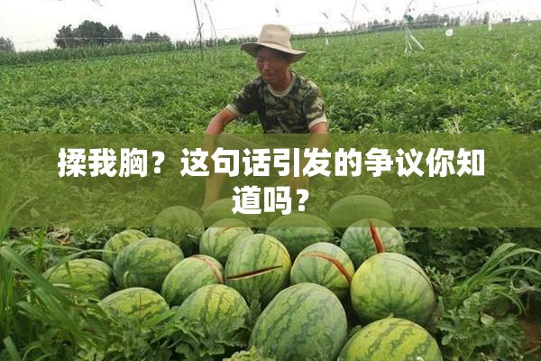 揉我胸？这句话引发的争议你知道吗？