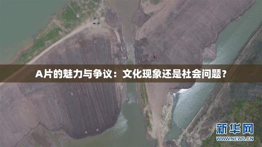 A片的魅力与争议：文化现象还是社会问题？