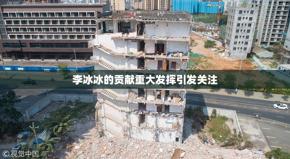 李冰冰的贡献重大发挥引发关注