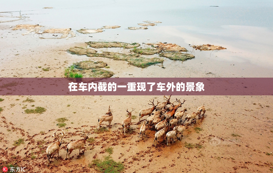 在车内截的一重现了车外的景象