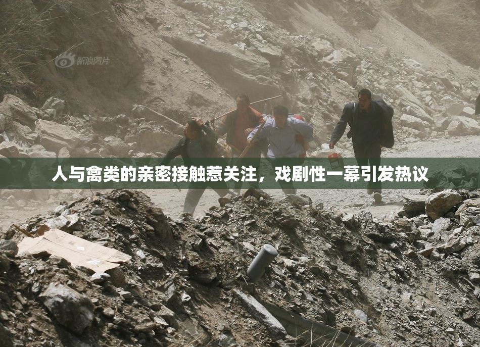 人与禽类的亲密接触惹关注，戏剧性一幕引发热议
