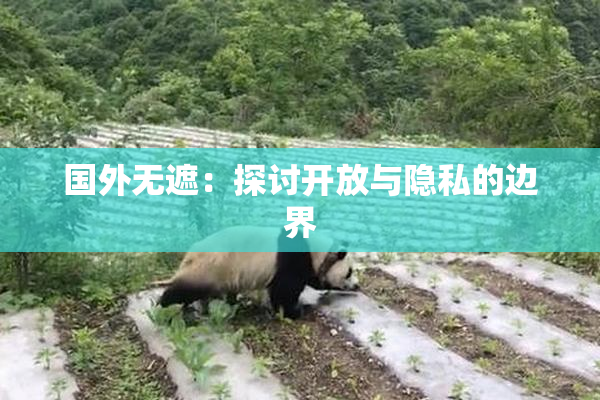 国外无遮：探讨开放与隐私的边界
