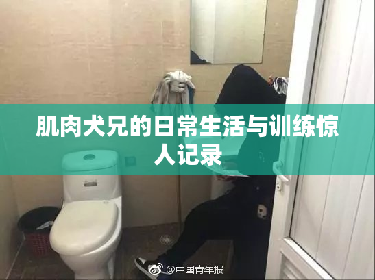 肌肉犬兄的日常生活与训练惊人记录