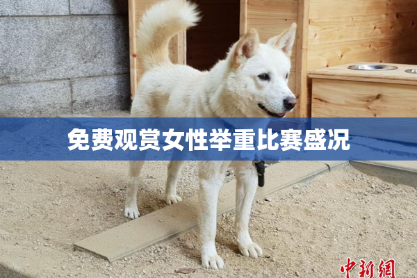 免费观赏女性举重比赛盛况