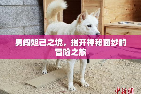 勇闯妲己之境，揭开神秘面纱的冒险之旅