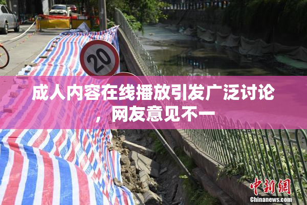 成人内容在线播放引发广泛讨论，网友意见不一
