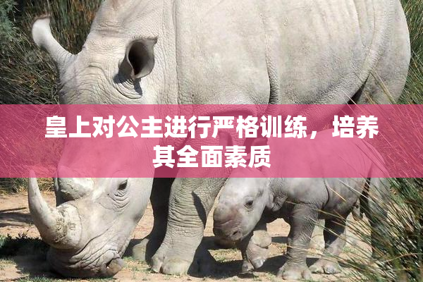 皇上对公主进行严格训练，培养其全面素质