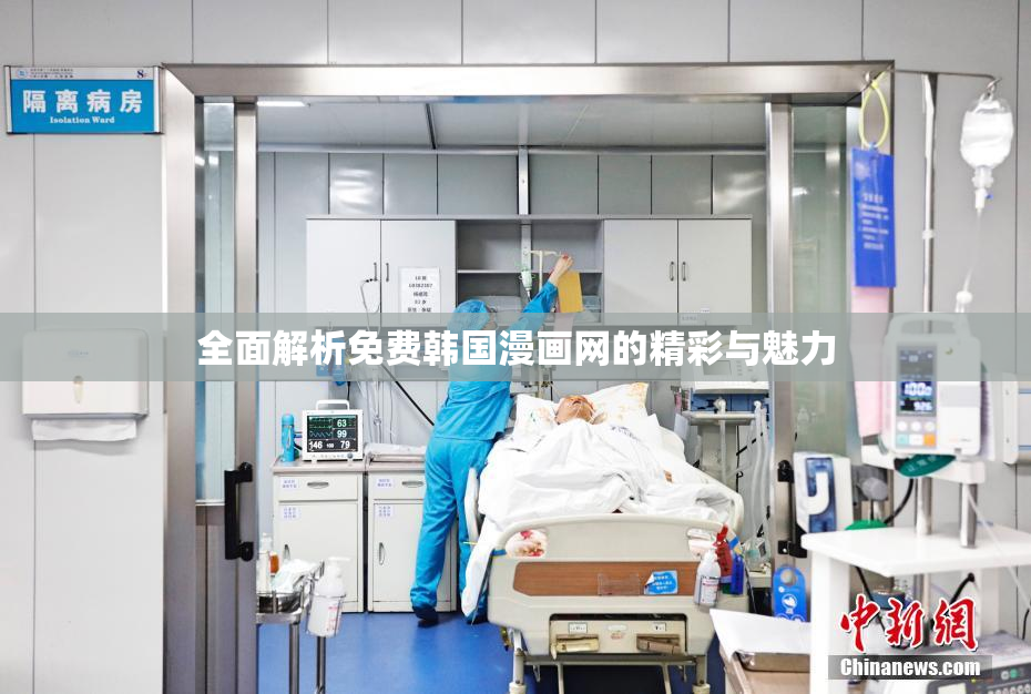 全面解析免费韩国漫画网的精彩与魅力