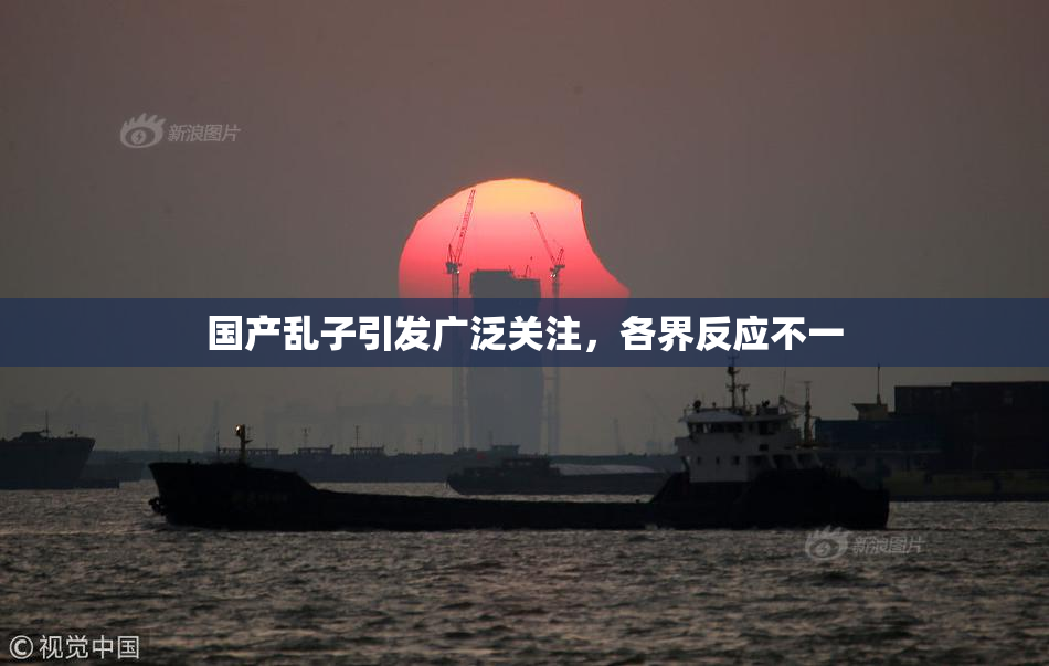 国产乱子引发广泛关注，各界反应不一