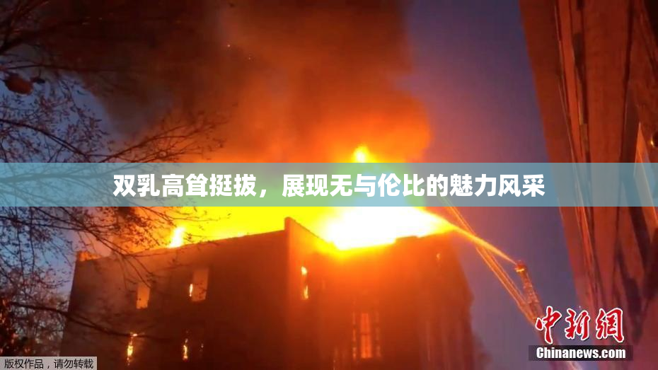 双乳高耸挺拔，展现无与伦比的魅力风采