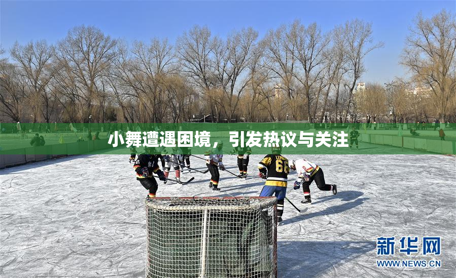 小舞遭遇困境，引发热议与关注