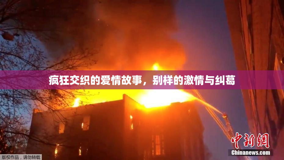疯狂交织的爱情故事，别样的激情与纠葛