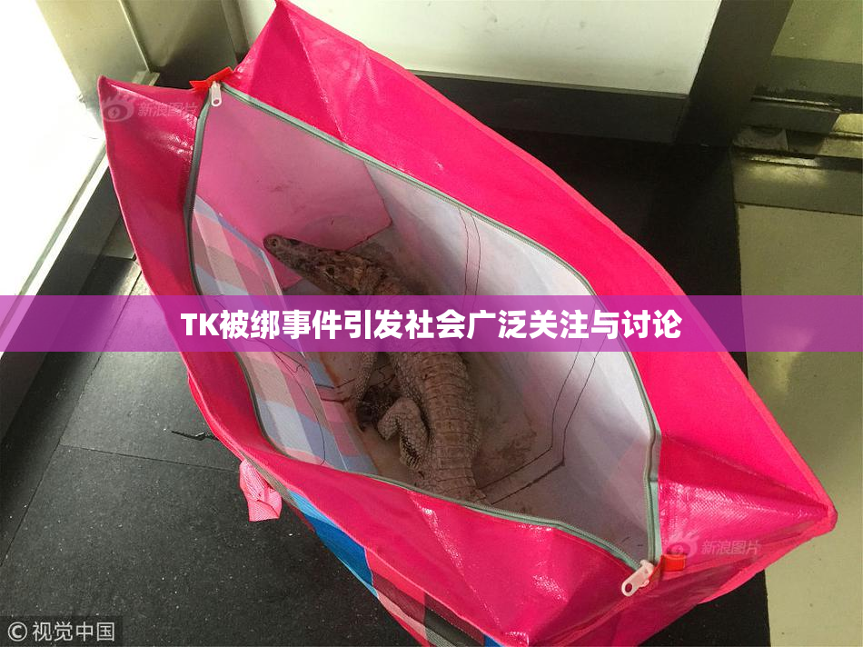 TK被绑事件引发社会广泛关注与讨论