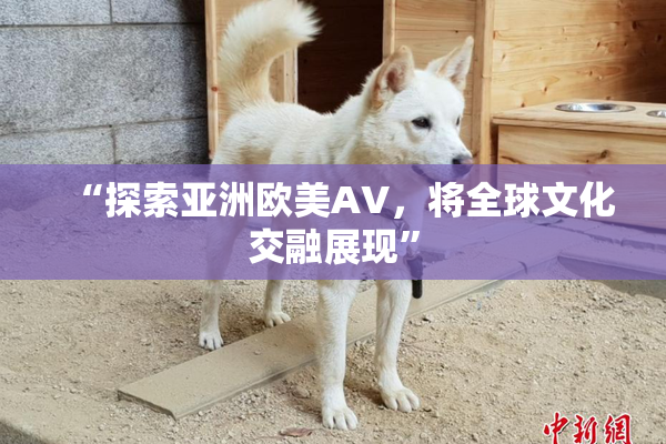 “探索亚洲欧美AV，将全球文化交融展现”