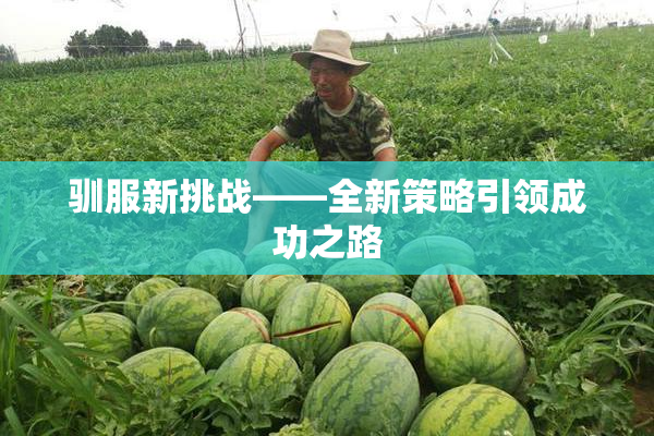 驯服新挑战——全新策略引领成功之路