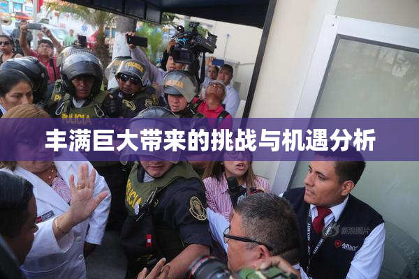 丰满巨大带来的挑战与机遇分析