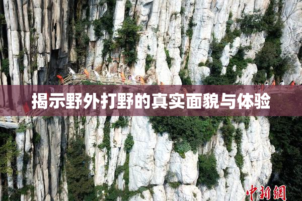 揭示野外打野的真实面貌与体验