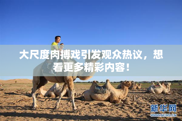 大尺度肉搏戏引发观众热议，想看更多精彩内容！
