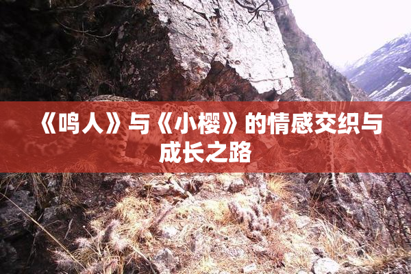 《鸣人》与《小樱》的情感交织与成长之路