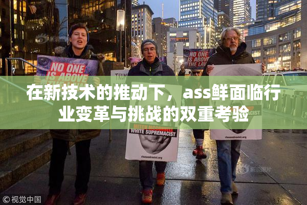 在新技术的推动下，ass鲜面临行业变革与挑战的双重考验