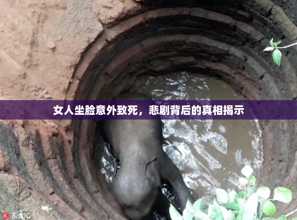 女人坐脸意外致死，悲剧背后的真相揭示