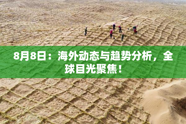 8月8日：海外动态与趋势分析，全球目光聚焦！