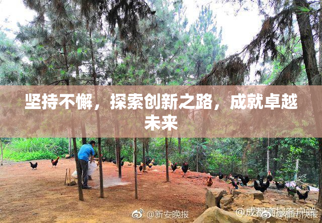 坚持不懈，探索创新之路，成就卓越未来