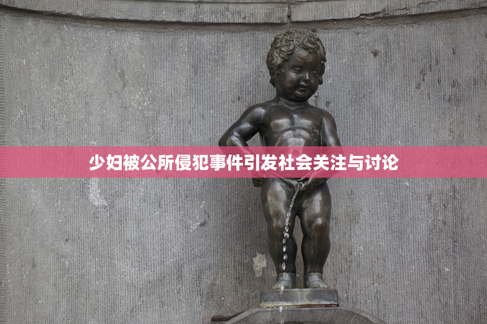 少妇被公所侵犯事件引发社会关注与讨论