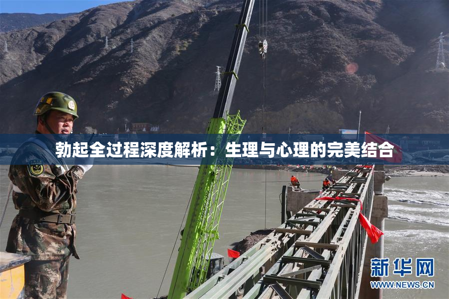 勃起全过程深度解析：生理与心理的完美结合