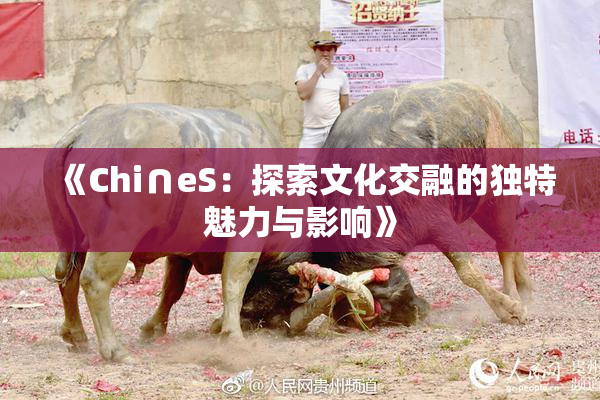 《Chi∩eS：探索文化交融的独特魅力与影响》