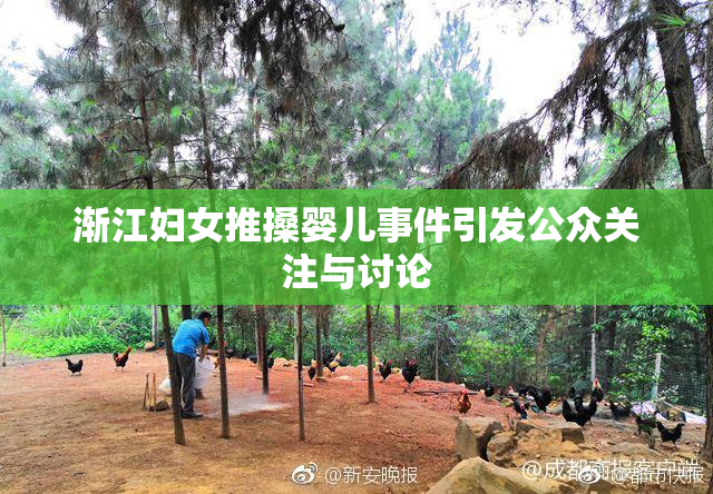 渐江妇女推搡婴儿事件引发公众关注与讨论