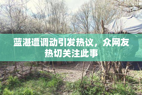 蓝湛遭调动引发热议，众网友热切关注此事