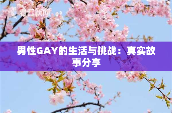 男性GAY的生活与挑战：真实故事分享
