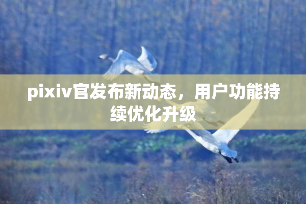 pixiv官发布新动态，用户功能持续优化升级