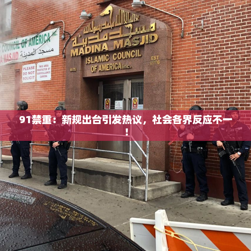 91禁重：新规出台引发热议，社会各界反应不一！