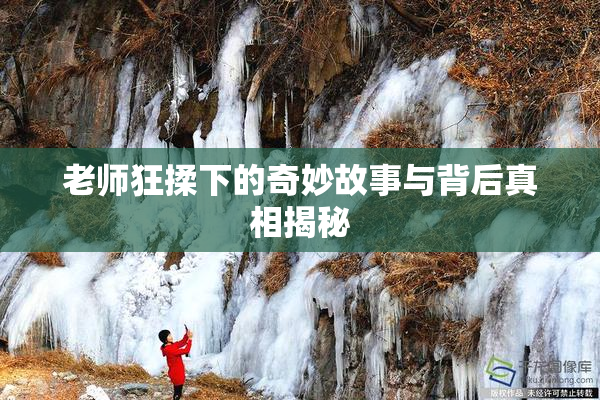 老师狂揉下的奇妙故事与背后真相揭秘